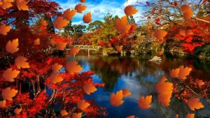 Новая Земля, Глава-1, Цветение человеческого сознания, Экхарт Толле, озвучивает - [Nikosho]