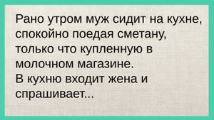 МУЖ ест сметану, заходит ЖЕНА... Заряжаемся позитивом от подборки анекдотов и смешных историй! Юмор!