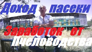 Заработок на пчёлах.Можно ли жить от пчеловодства.Доход от пчел.