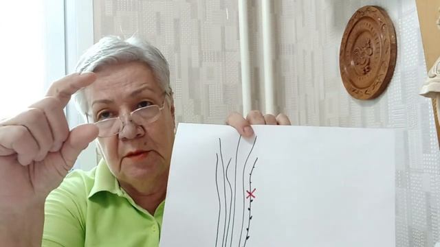 Малина ремонтантная...понемногу , но все лето или много крупной , но зараз... смотреть онлайн