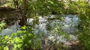 Uzbekistan. Чимган-Чарвак-Испай. Поездка в горы.