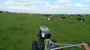 Возим песок мотоблоком ZUBR 8 л.с.