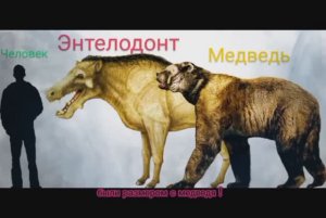 Доисторический океан Риты Воеводиной #6. Энтелодонт