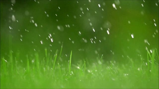 Reiki 2 Minute Timer ~ Sounds of Nature,  Rain Sounds with 26 x 2 Minute Bell Timers