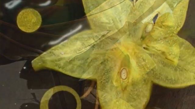 Знаете ли Вы что содержит карамбола?Польза и вред чудо фрукта. смотреть онлайн