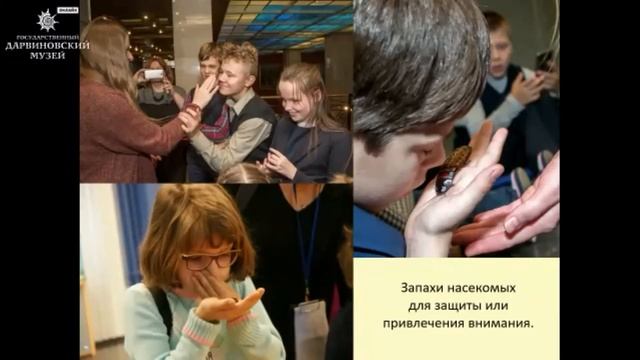 Инклюзия в музее