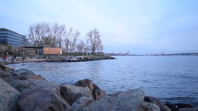 D3300 Sample Video - Elliott Bay смотреть онлайн