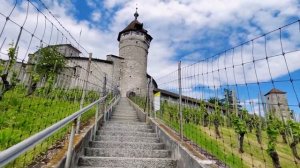 Шаффхаузен Швейцария  | 4К | тур по городу | история | достопримечательности | факты