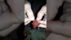 Мастер класс. как правильна насадить куриный печень на крючок.