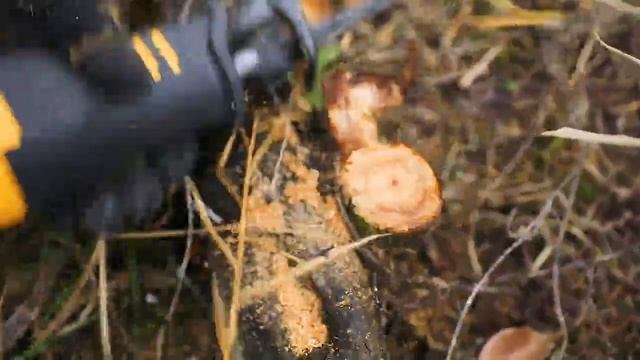 CRSLI1151 смотреть онлайн