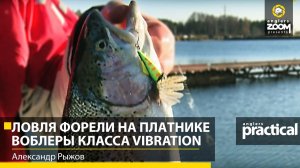 Ловля форели на платнике. Воблеры класса vibration. Александр Рыжов. Anglers Practical