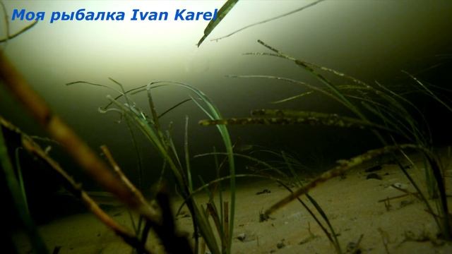 Рыбалка на корюшку.Съёмка под водой экшн-камера H8 PRO.Рыбалка на море зимой.