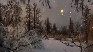 Сергей Чекалин - Падал снег