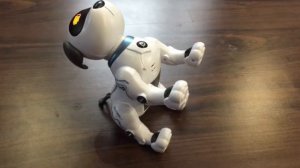 Робот собака / The Robot Dog
