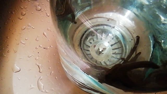 Пиявки- помощники. Так выглядит их отель??? смотреть онлайн