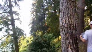 Ботанический сад Батуми Грузия Змея Бамбук Бананы август 2016