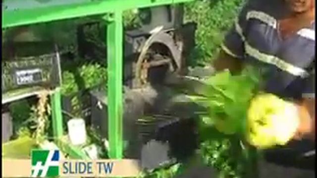 Уборка зелени в пучки Newtechagro.Ru смотреть онлайн