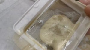 Льняное,  Кунжутное и Арахисовое масло в домашних условиях / Маслопресс RAWMID Modern RMO-03