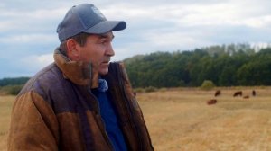 Ферма с минимальными вложениями | Поддержка фермеров | Гранты фермерам