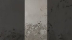 #кровь" и песок) #Vitra инстоляция Выполненили первый этап