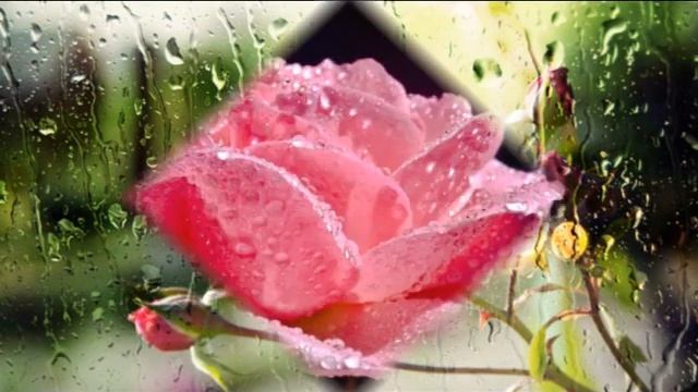 СТИХИ ПОД МУЗЫКУ*Красиво.... смотреть онлайн