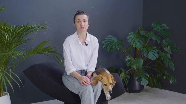 Из чего состоит МЕНТАЛЬНОЕ ЗДОРОВЬЕ СОБАКИ? Основы здоровой психики Псё