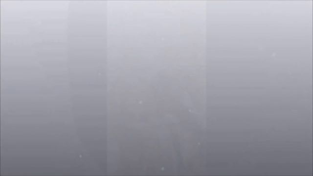 Присказка. Часть 2. Программы подсознания