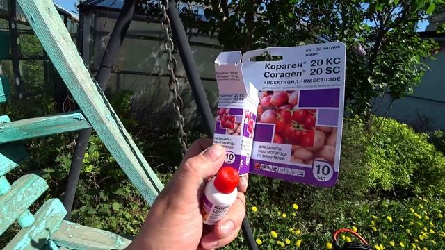 Даёшь бой плодожорке! Опрыскивание садовых деревьев