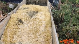 замес арболита мотоблоком 1