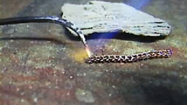 пайка смотреть онлайн