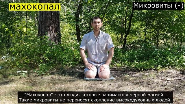 микровиты часть 2 смотреть онлайн