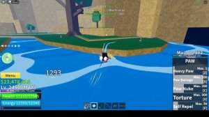Обзор фрукта ЛАПА в Blox Fruits Roblox. PAW SHOWCASE BLOX FRUITS