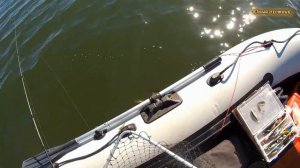 Ловля окуня троллингом