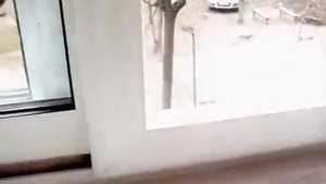 Москитная сетка на раздвижных окнах Слайдорс