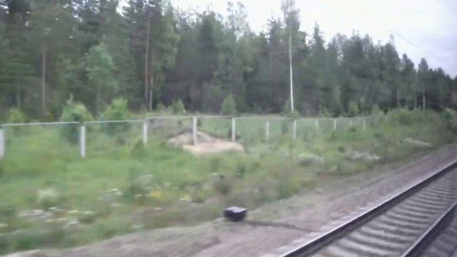 Между о. п. Лейпясуо и ст. Гаврилово. Вид из окна электропоезда Выборг—Санкт-Петербург. 20.06.2013 смотреть онлайн