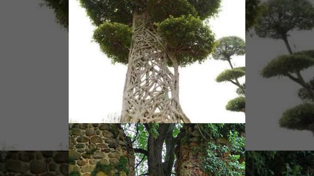 29 февраля 2024 г. смотреть онлайн