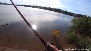 река Луга, рыбалка, хороший клев Леща, фидер, осень 2020