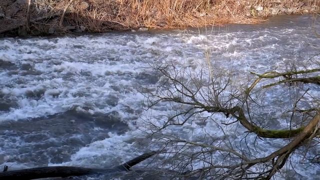 Отключившись на морозе, мужик уже начинал синеть, пока его не нашел этот котяра смотреть онлайн