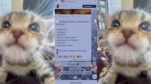 Как мега просто сделать супер милый язык в Telegram 2023??