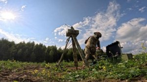 Сворачивание НРЛС Репейник