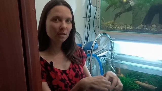 Обзор моей маленькой аквариумной стойки смотреть онлайн