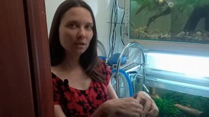 Обзор моей маленькой аквариумной стойки