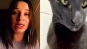 Песня Принцессы и Трубадура #tiktokvideo #бременскиемузыканты