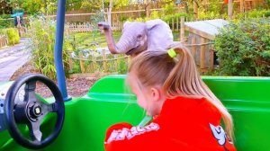 Эльвира И Райан на площадки празднуют Хэллоуин