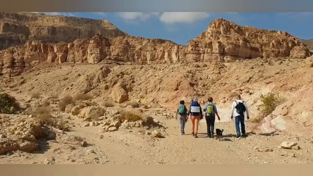 Израиль, парк Тимна. Январь 2020 года. פארק תמנע, ישראל смотреть онлайн