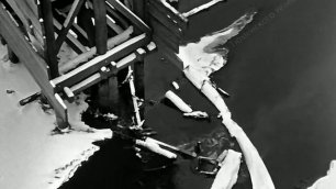 1976 год. Тюмень. Городищенский лог и промышленные сбросы в речку Тюменку.