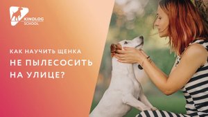Как научить щенка не пылесосить на улице?