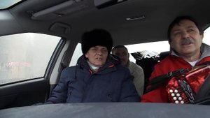 Далеко журавли улетели.Шансон и гармонь.