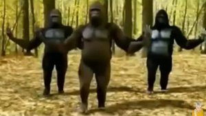 Не женюсь я, не женюсь, ой мама не женюсь  !!! прикольно