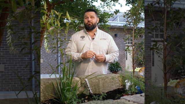 Bush tucker gardens for beginners смотреть онлайн